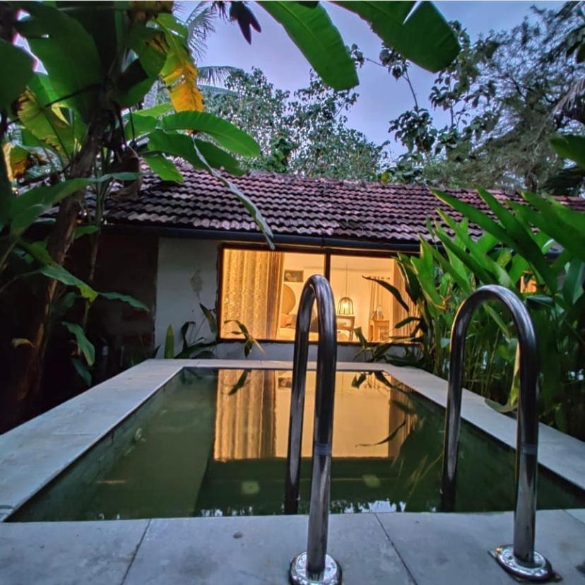 Sunsets And Palm Trees Bed and Breakfast Alappuzha Exteriör bild