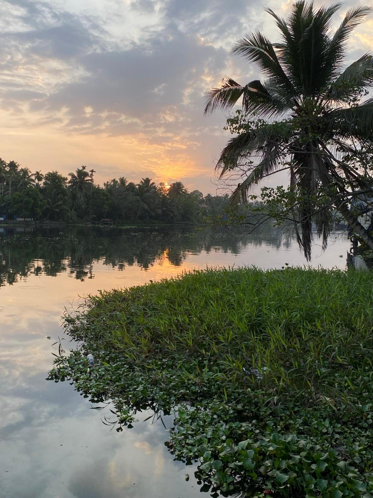 Sunsets And Palm Trees Bed and Breakfast Alappuzha Exteriör bild