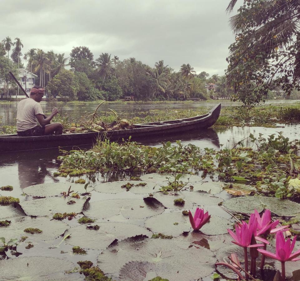 Sunsets And Palm Trees Bed and Breakfast Alappuzha Exteriör bild